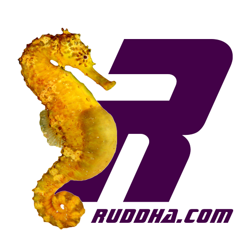 Ruddha - South African Artist - Visual Image Manipulation